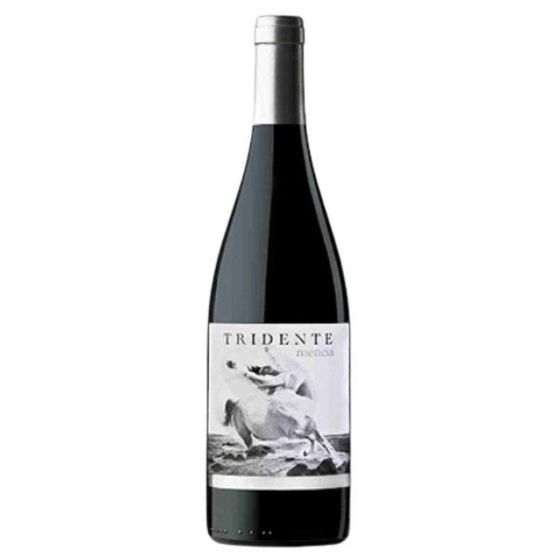 Triton Vino de la Tierra de Castilla y Leon Mencia 2011 750 ML