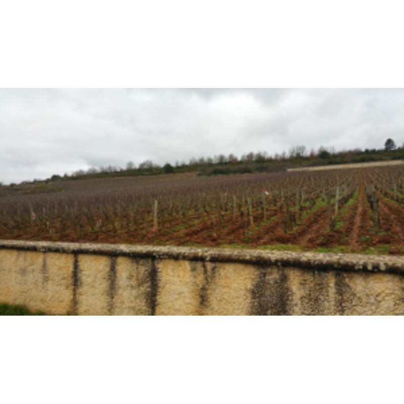 Raats Family Wines 2012 Raats Dolomite Cabernet Franc