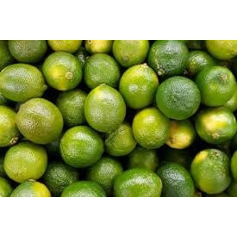 Limes
