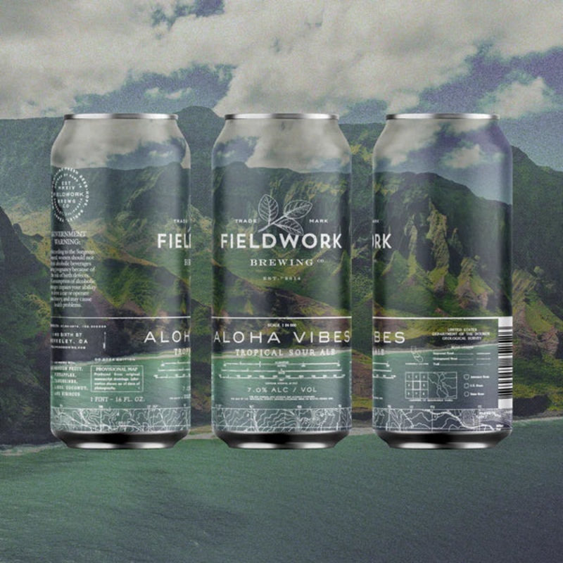Aloha Vibes Tropical Sour Ale Fieldwork 16oz.
